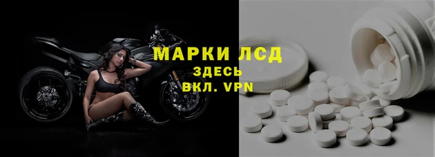 СК Заводоуковск