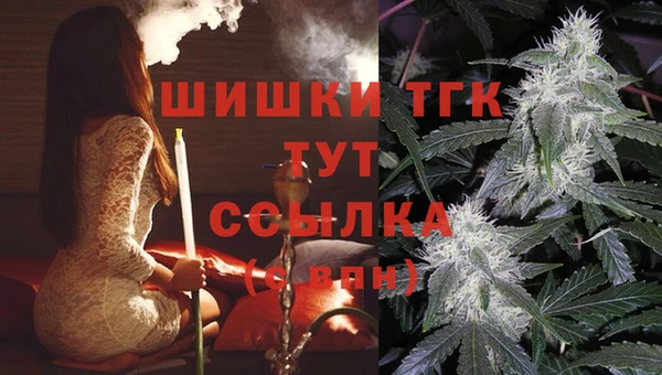 СК Заводоуковск