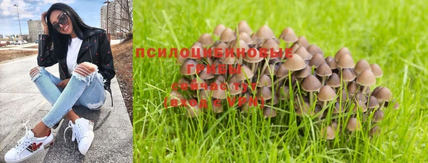 дурь Заволжье